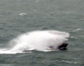 Spirit of Guernsey off St Martin's Point 26-01-14 Pic by Tony Rive (10).jpg