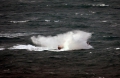 Spirit of Guernsey on Crew Training around Guernsey 11-01-15 Pic by Tony Rive (7).jpg