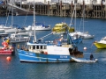 Pic by Tony Rive 17-09-15 Marina Staff towing the local Fishing boat Defiance to its berth alongside the Fish Quay after it had been towed into St Peter Port by lifeboat Spirit of Guernsey.