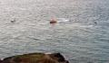 Workboat Sarnia and the t Peter Port Lifeboat north of Longue Pierre Beacon during a Search & Rescue 14-11-14 Pic by Tony Rive.jpg